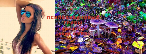 прущая мука Абаза