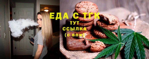 гидра Горняк